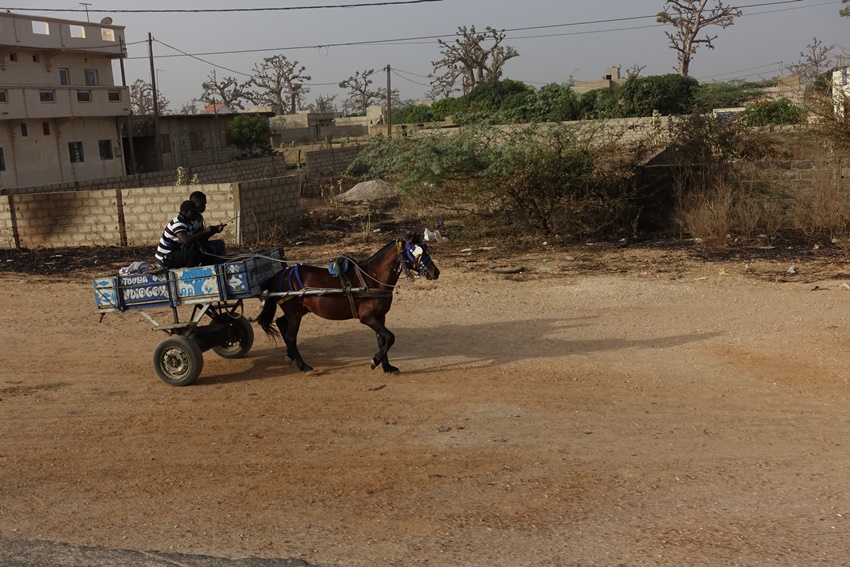 Horse carts rule the dusty streets. 